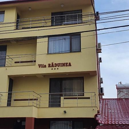 Vila Raduinea Эфорие Норд Экстерьер фото